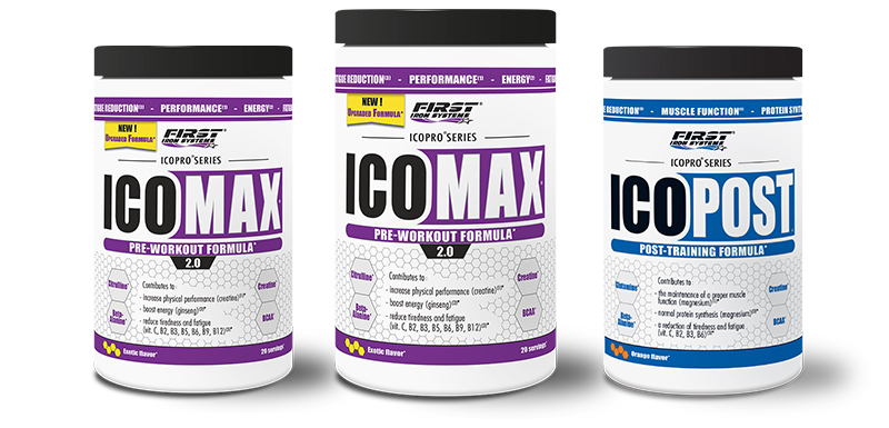 pack de 2 Icomax 2.0 et Icopost